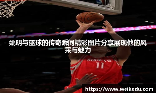 金年会jinnianhui首页